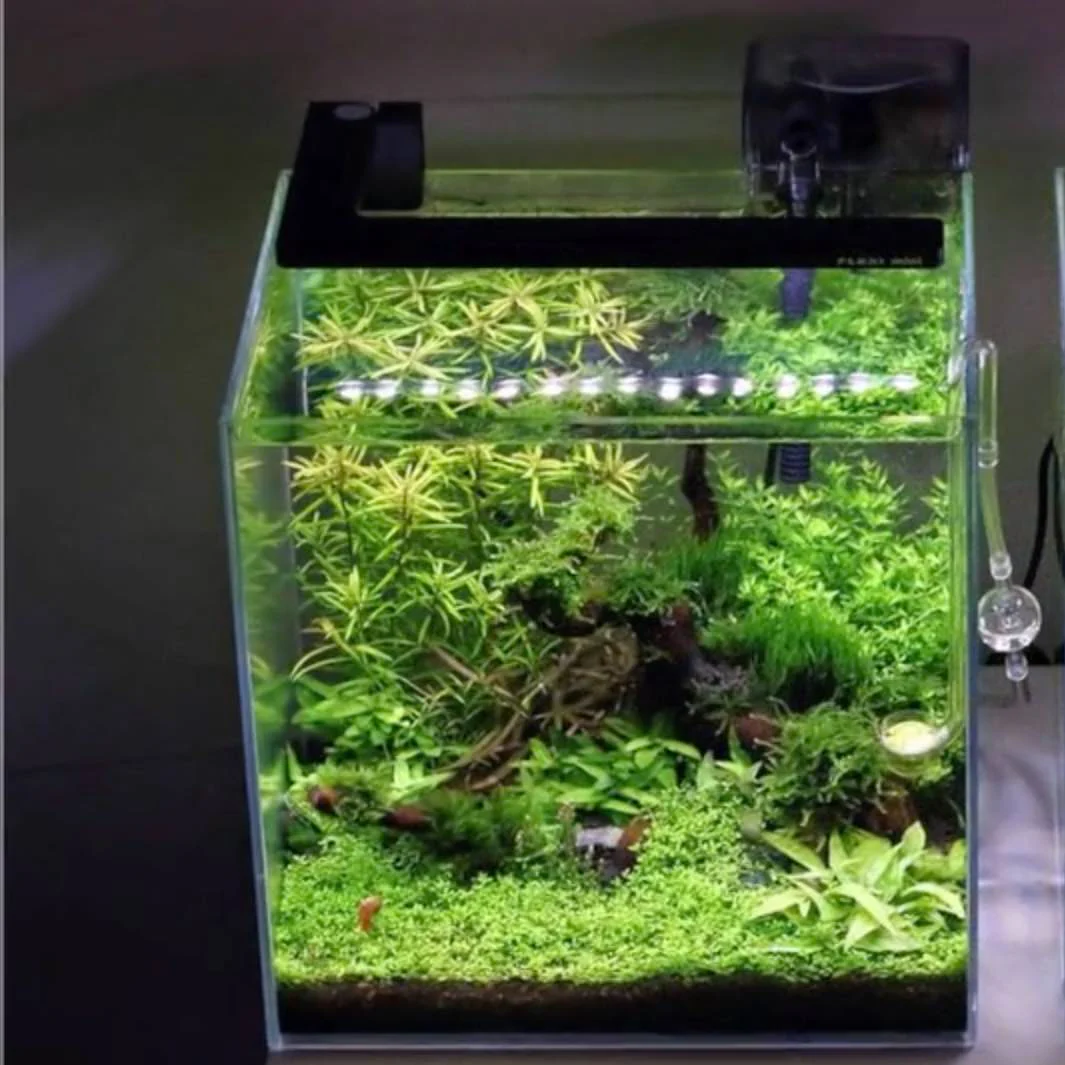 FLEXI Mini LED - Azoo - Image 12