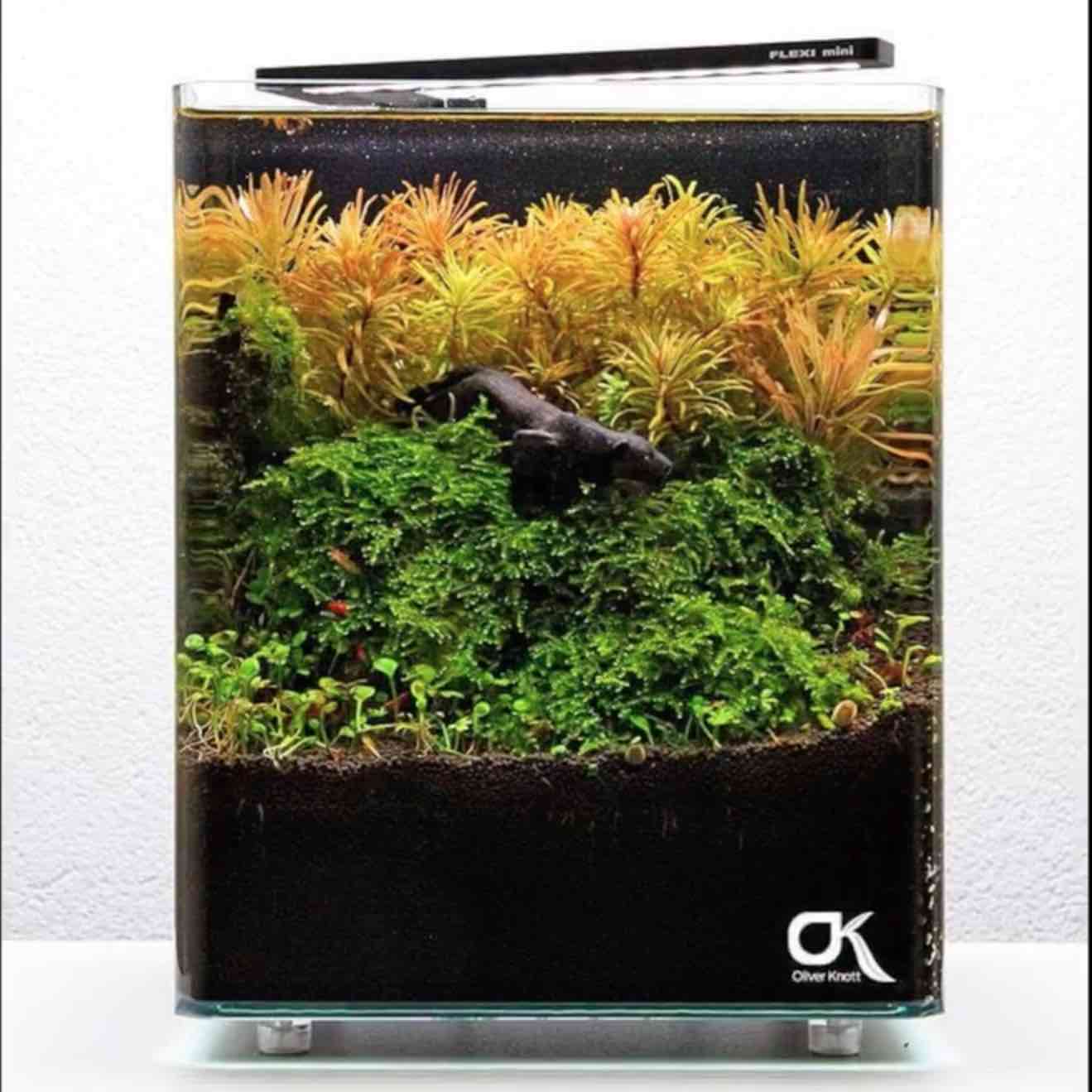 FLEXI Mini LED - Azoo - Image 15