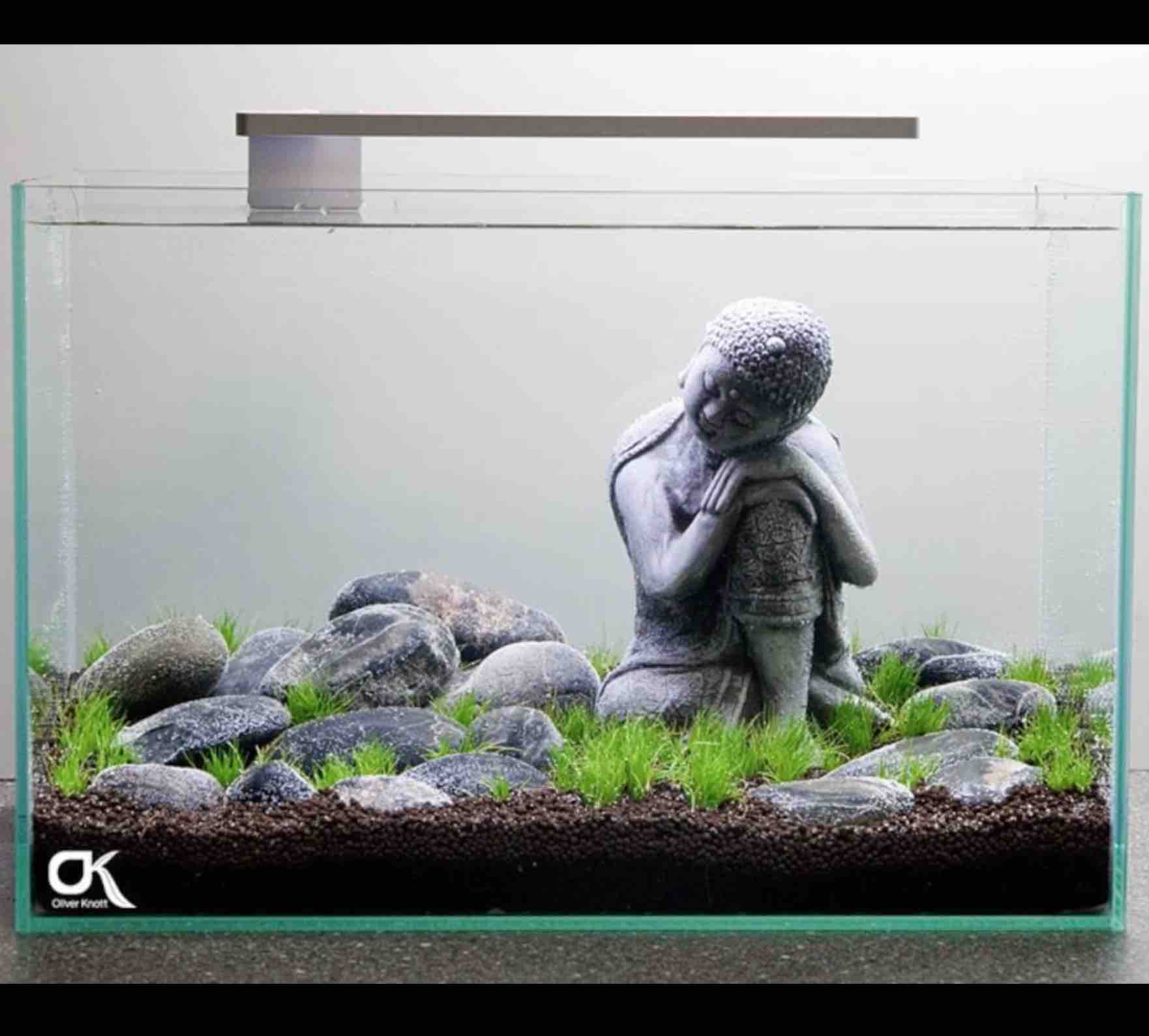 FLEXI Mini LED - Azoo - Image 16
