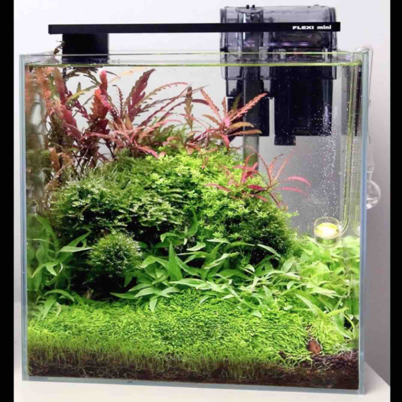 FLEXI Mini LED - Azoo - Image 9