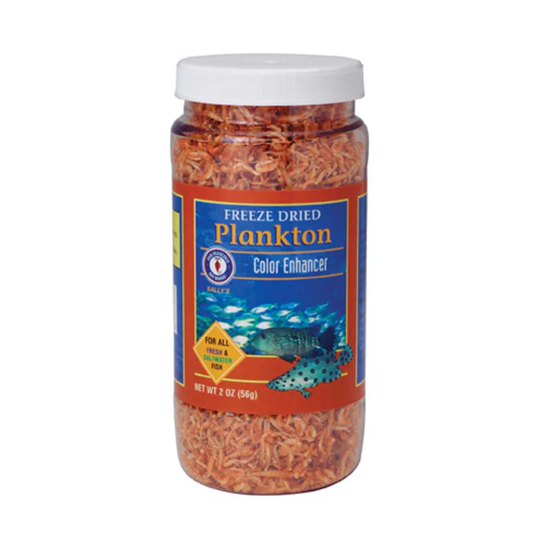 Freeze-Dried Plankton - San Francisco Bay Brand - Image 3