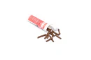 Freshwater Substrate Bottom Sticks - Dr. Tank - Image 5