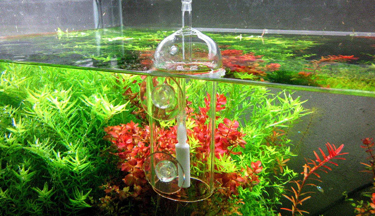 Glass Air Diffuser Bell - ALA - Image 4