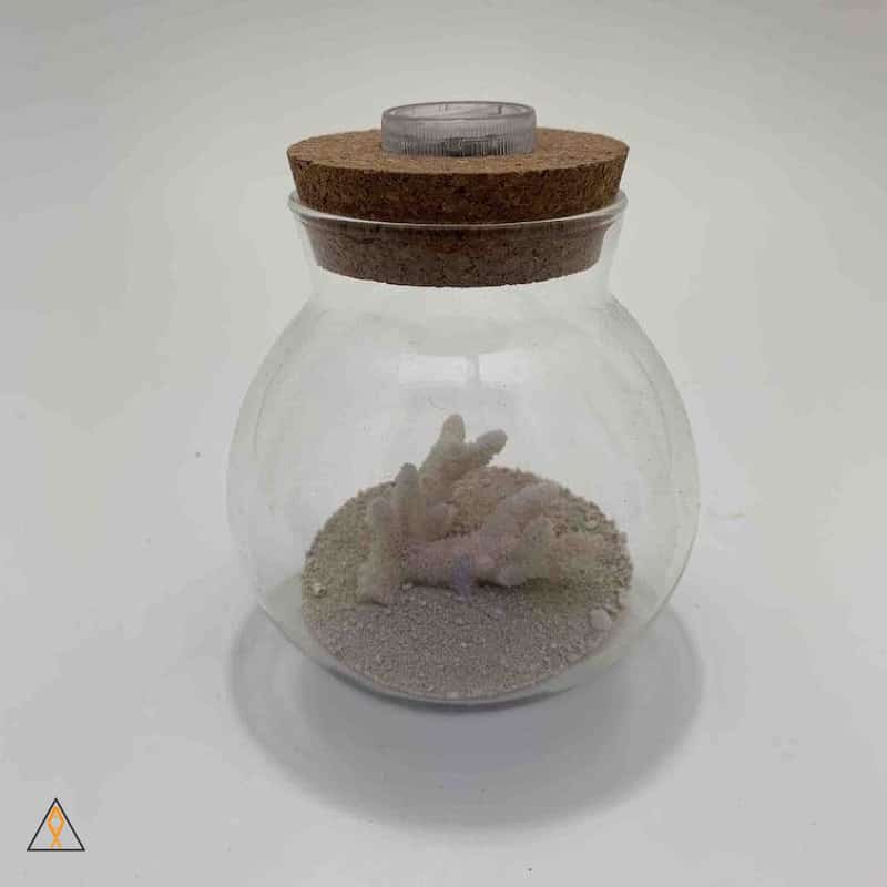 Glass LED Orb - Image 2