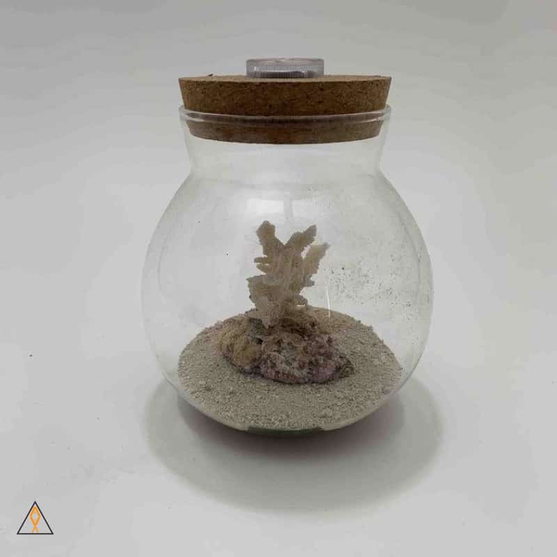 Glass LED Orb - Image 3