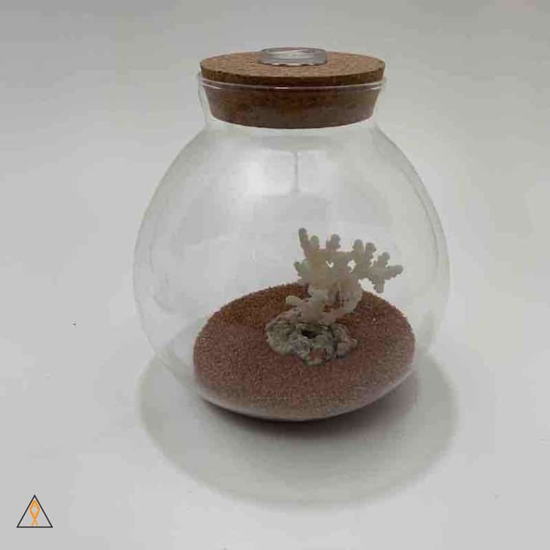 Glass LED Orb - Image 4
