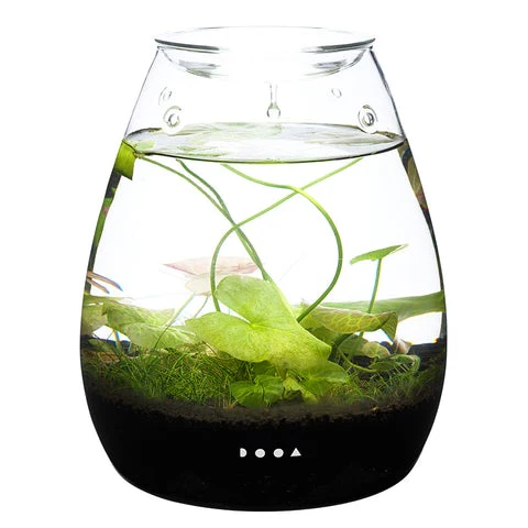 Glass Pot SHIZUKU - DOOA - Image 7