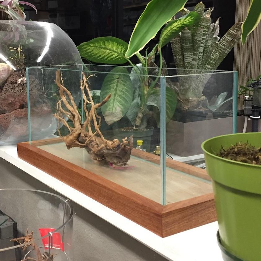 Hardwood Aquarium Pedestal - ALA - Image 4