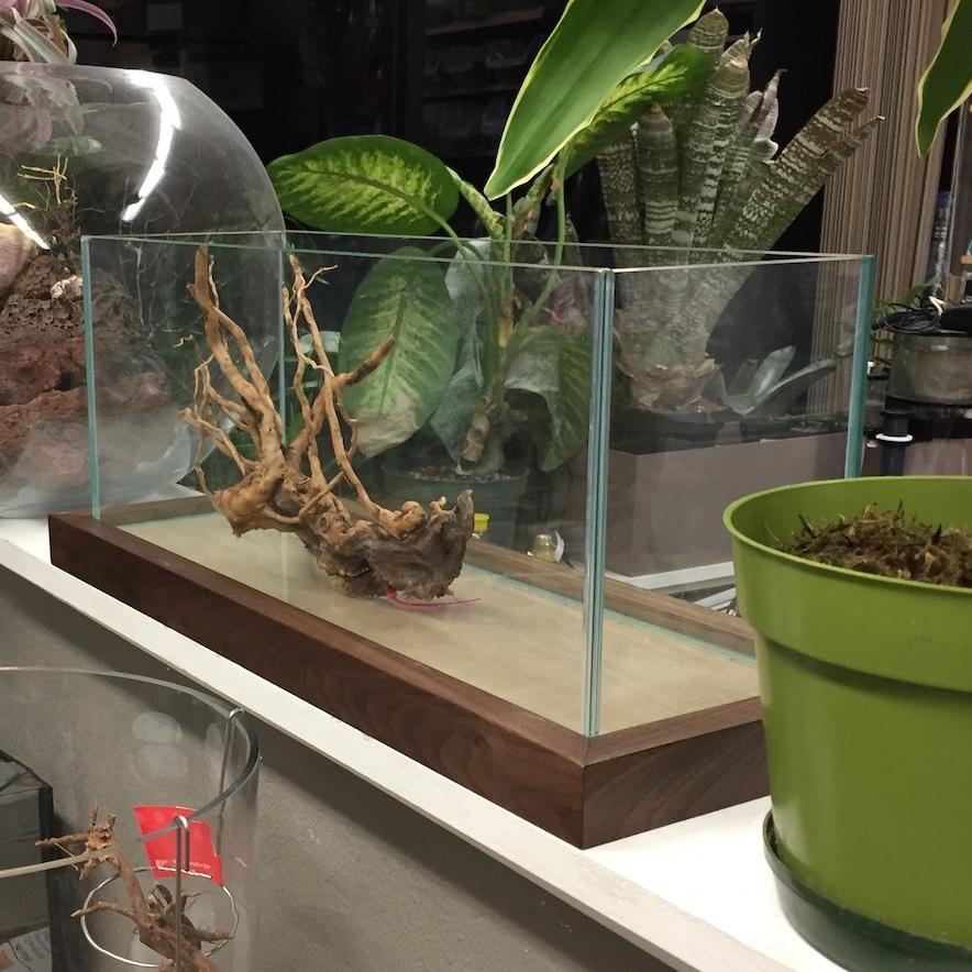 Hardwood Aquarium Pedestal - ALA - Image 5