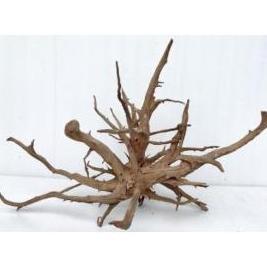 Jangle Wood - ALA - Image 3