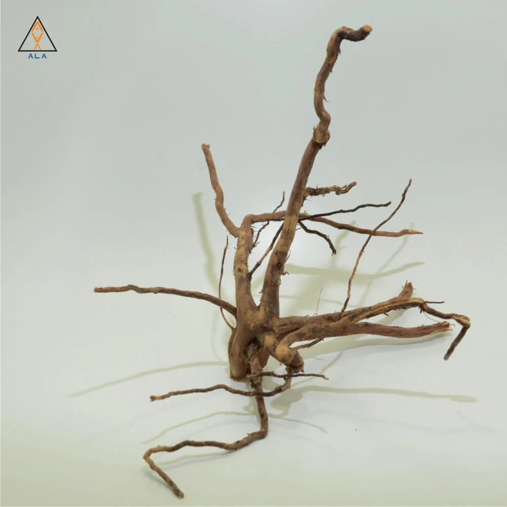 Kakado Wood - ALA - Image 2
