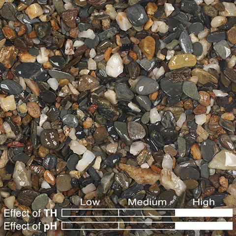 KUMU Hardscape Layout Materials - ADA - Image 3