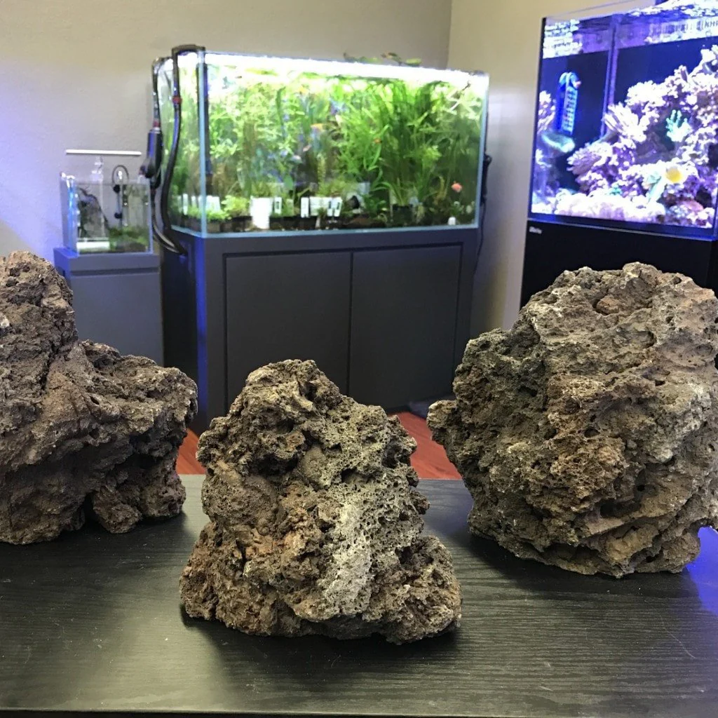 Black Diamond Lava Rock - ALA - Image 2