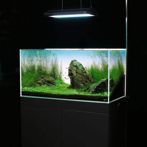 Light Screen - ADA - Image 7