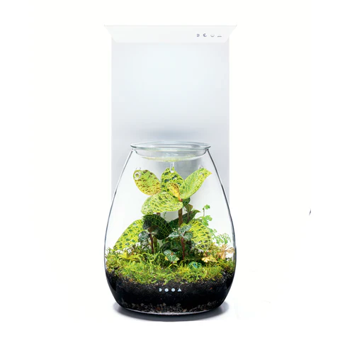 Magnet Light LED Stand - DOOA - Image 2
