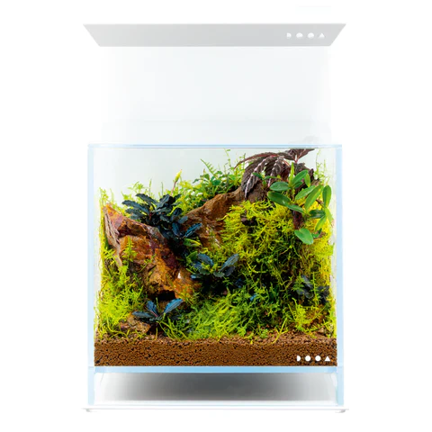 Magnet Light LED Stand - DOOA - Image 9