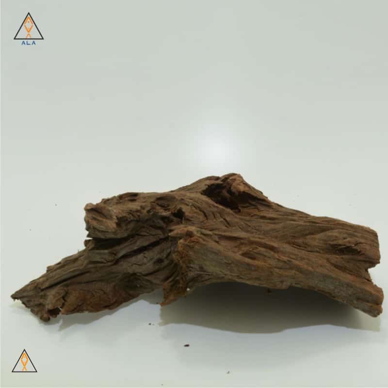 Malaysian Driftwood - ALA - Image 5