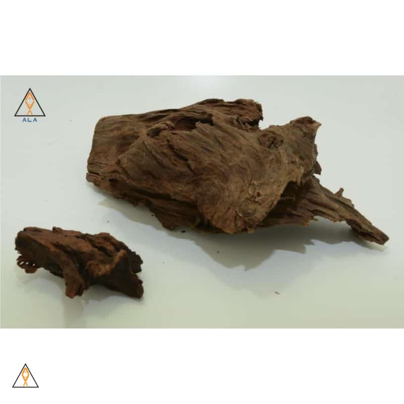 Malaysian Driftwood - ALA - Image 6