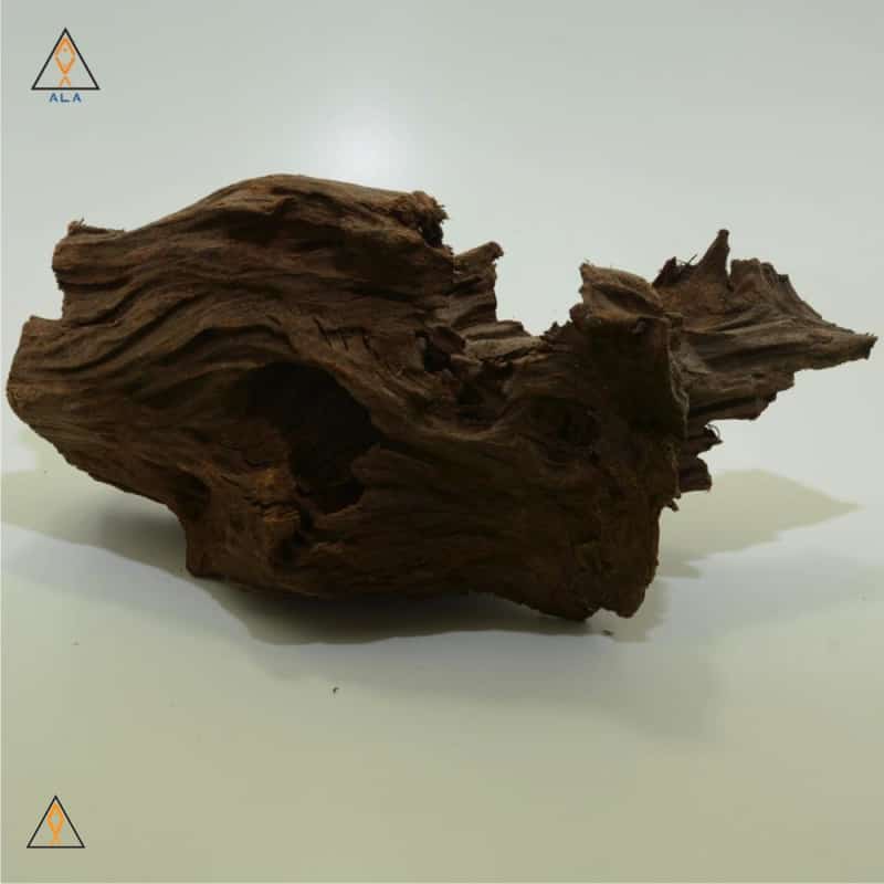 Malaysian Driftwood - ALA - Image 7