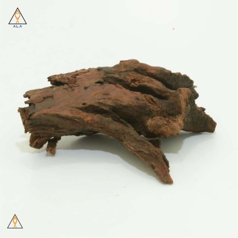 Malaysian Driftwood - ALA - Image 8