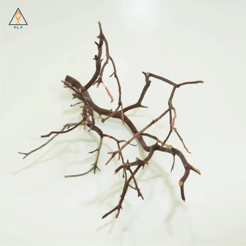 Manzanita Wood - ALA - Image 3