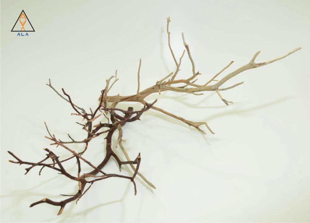 Manzanita Wood - ALA - Image 4