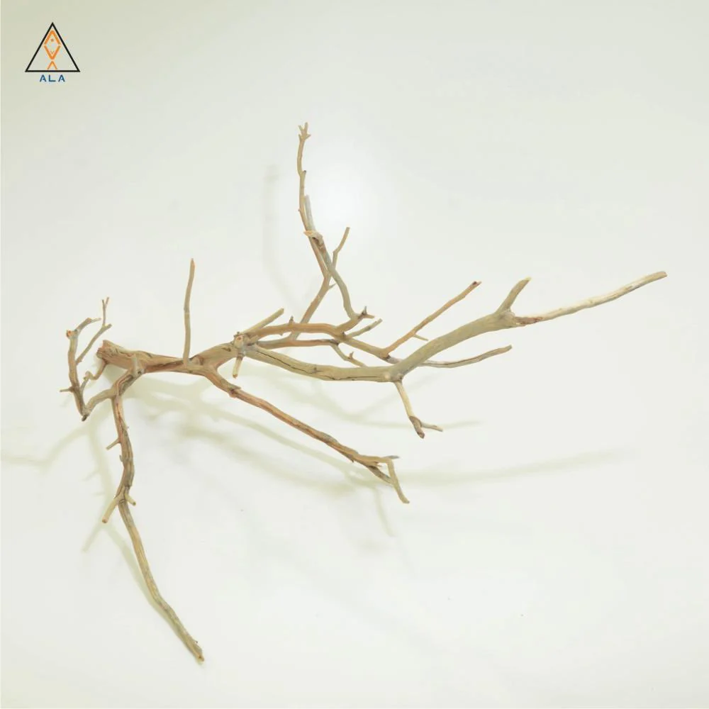 Manzanita Wood - ALA - Image 5