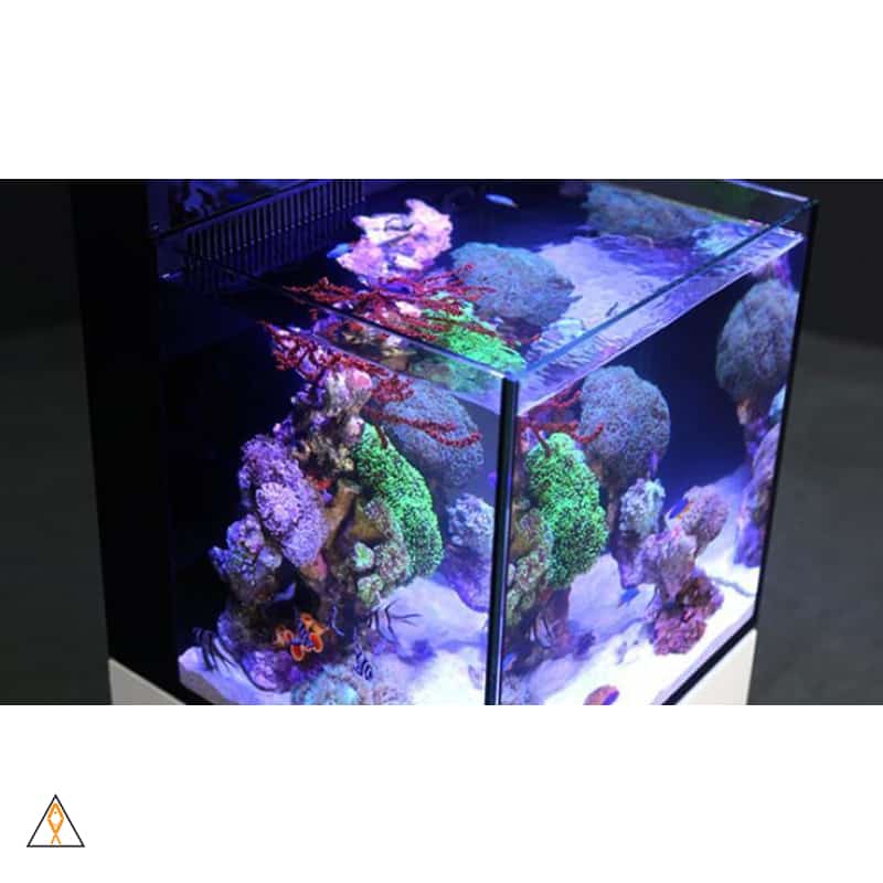 MAX NANO Reef Aquarium System (20 GAL) - Red Sea - Image 3