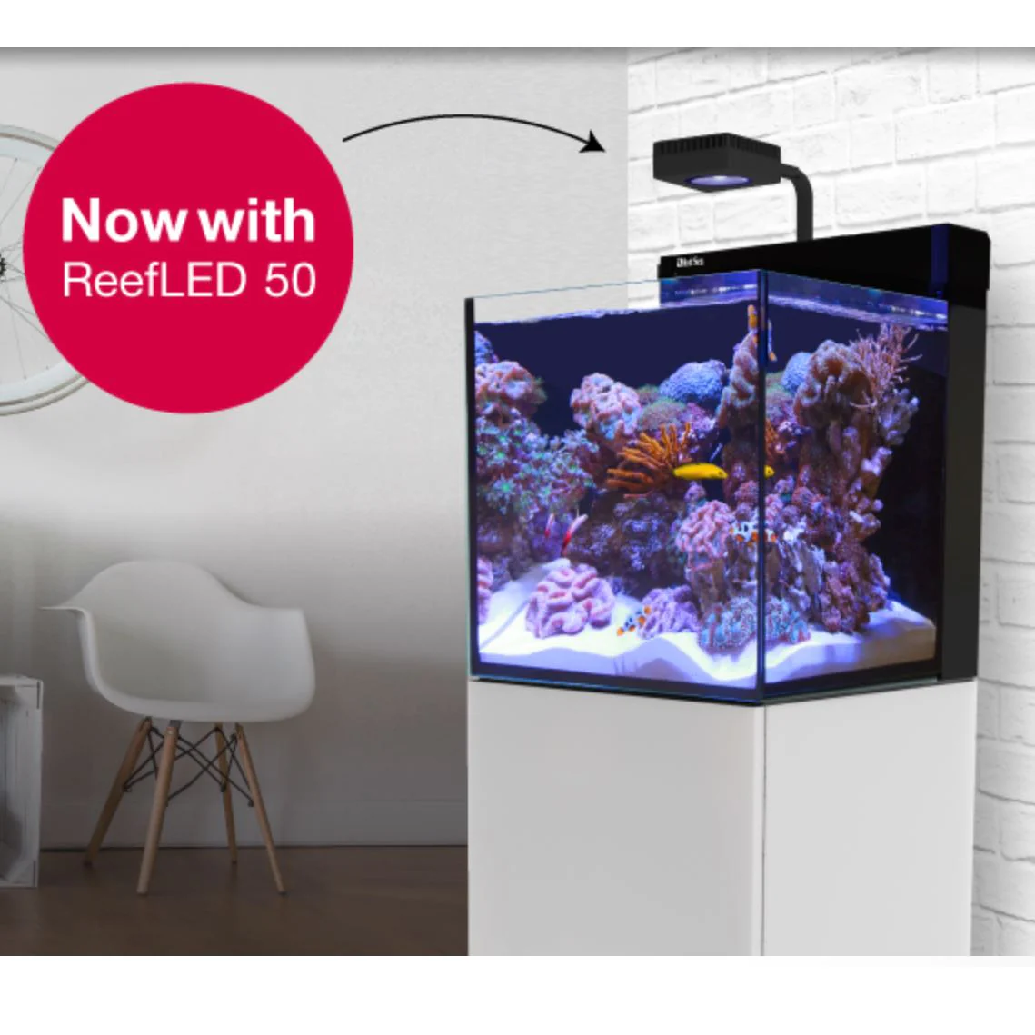MAX NANO Reef Aquarium System (20 GAL) - Red Sea - Image 4