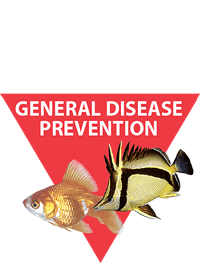 Methylene Blue Aquarium Disease Treatment - Kordon - Image 2