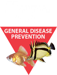 Methylene Blue Aquarium Disease Treatment - Kordon - Image 4