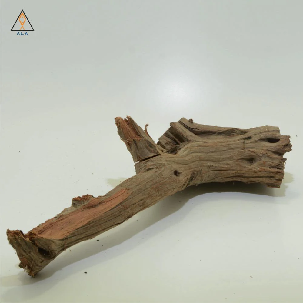 Neka Wood - ALA - Image 3