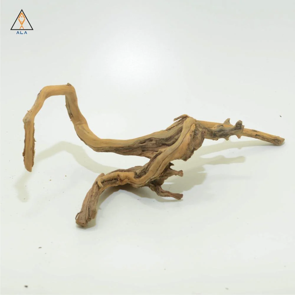 Neka Wood - ALA - Image 4