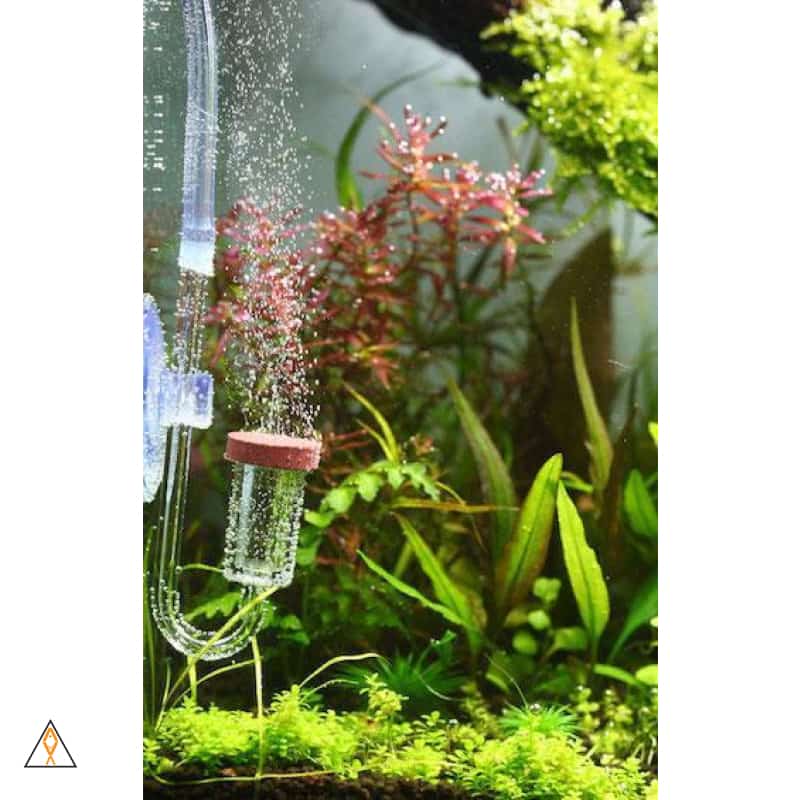 NEO CO2 Normal Original Diffuser - Aquario - Image 3