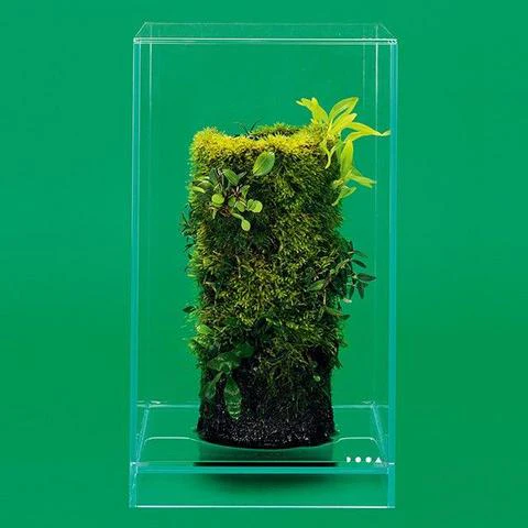 Neo Glass Air - DOOA - Image 14