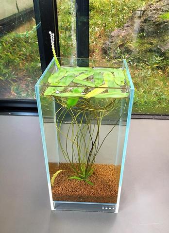 Neo Glass Air - DOOA - Image 16