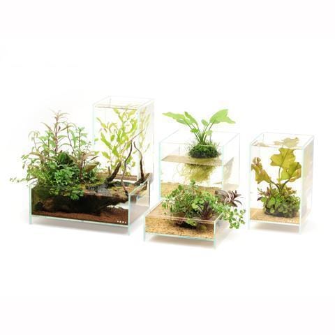 Neo Glass Air - DOOA - Image 2
