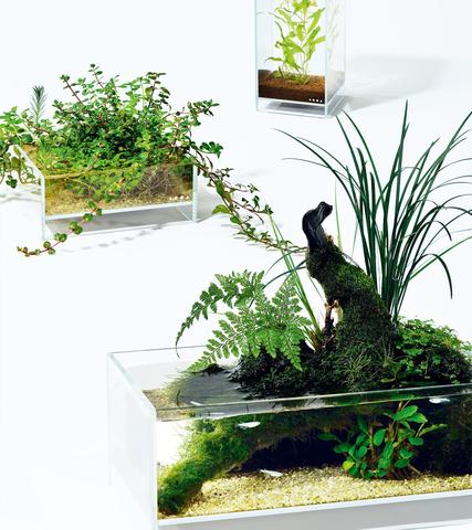 Neo Glass Air - DOOA - Image 22