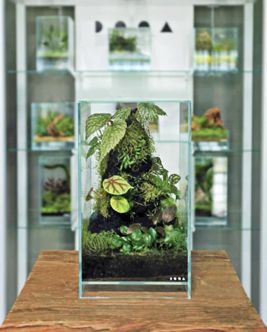 Neo Glass Air - DOOA - Image 38