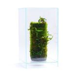 Neo Glass Air - DOOA - Image 39