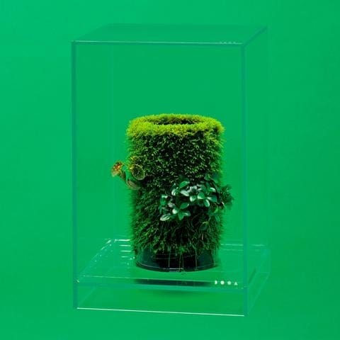 Neo Glass Air - DOOA - Image 6