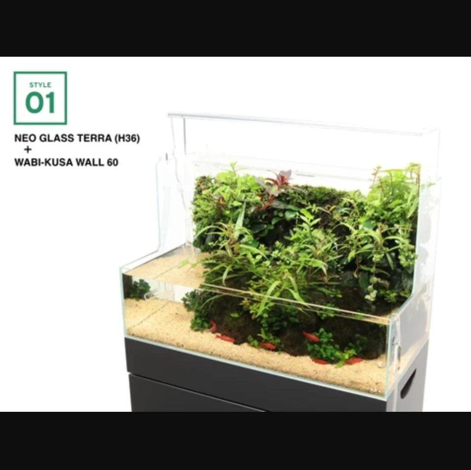 Neo Glass Terra - DOOA - Image 8