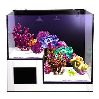 Nuvo Concept ABYSS Panorama All-In-One Aquarium (20 GAL) - Innovative Marine - Image 2