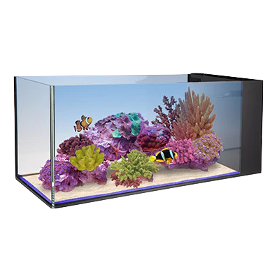 Nuvo Fusion Peninsula 20 - Innovative Marine - Image 2