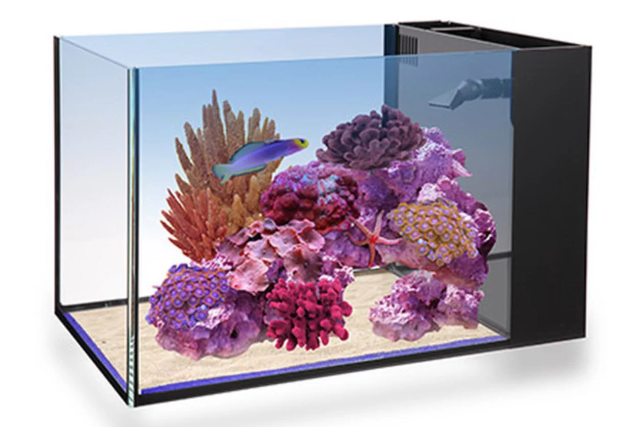 NUVO Fusion Pro 14 Peninsula All-In-One Aquarium (14 GAL) - Innovative Marine - Image 6
