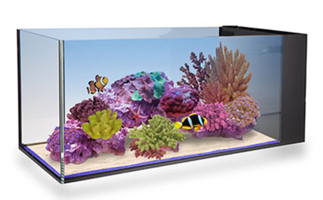 Nuvo Fusion Peninsula 20 - Innovative Marine - Image 6