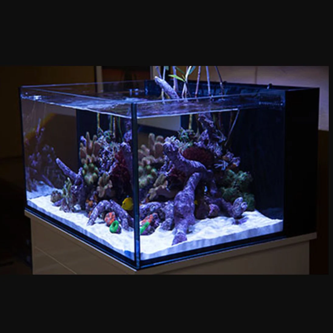 NUVO Fusion Pro 25 Lagoon All-In-One Aquarium (25 GAL) - Innovative Marine - Image 6