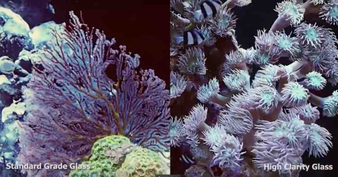 NUVO Fusion Pro 40 All-in-One Aquarium (40 GAL) - Innovative Marine - Image 8