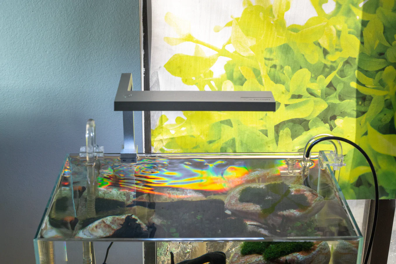 Orion Nano LED Light - Aqua Worx - Image 4