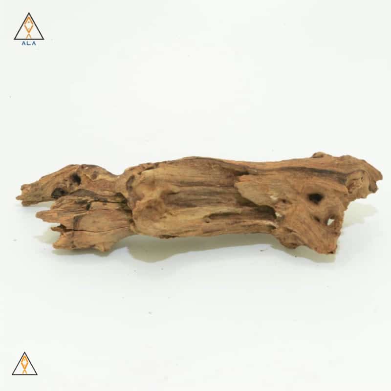 Pacific Wood - ALA - Image 5